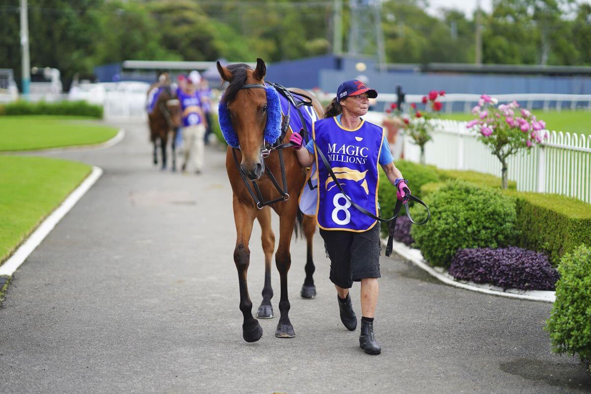 WYONG RACE 2 FORM GUIDE visual data 7